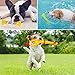Amzeeniu Hundespielzeug,16 Pcs Seil Ball Hunde robuste Zähne Kauen langlebig Spielzeug Zahntraining Set Für Kleine mittelgroßen Hund Interaktives Spielset Unzerstoerbar BaumwollknotenTau Tier