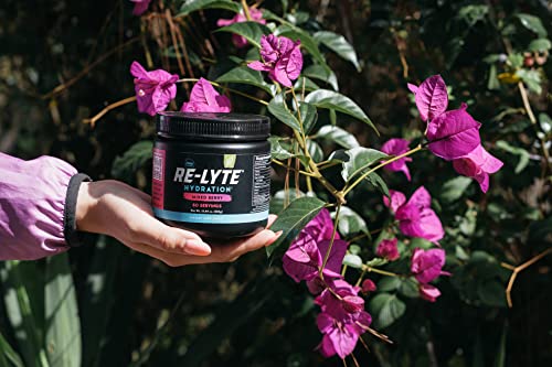 Redmond Re-Lyte Hydration Electrolyte Mix (Mixed Berry) #TOP5
