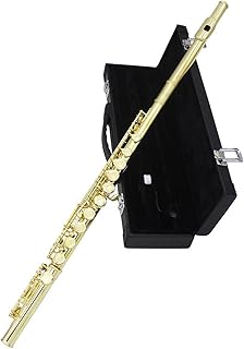 16 Holes Add The E Key Flute Brass Bady Gold Flute Instrument With Leather Box Case flute instrument