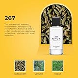 OPUX LONDON Alternative Inspired by B Bottled Elixir Perfume for Men – Frankincense, Cardamom & Warm Woods, Luxurious Scent for Him, Eau de Parfum, Perfect for Daily Wear, High longevity - 50ml - Image 3