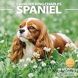2025-2026 Wall Calendar Cavalier King Charles Spaniel Planner Calendar, Hangable Monthly Wall Calendar with Large Blocks for Organizing & Planning, Academic Schedule, Home, Office & family, Thick & Sturdy Paper (12"x24" Open)
