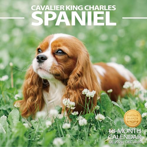 2025-2026 Wall Calendar Cavalier King Charles Spaniel Planner Calendar, Hangable Monthly Wall Calendar with Large Blocks for Organizing & Planning, Academic Schedule, Home, Office & family, Thick & Sturdy Paper (12"x24" Open)