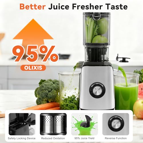 Image of NEWBULIG Cold Press Juicer Machines for Vegetables & Fruits, Silver | Slow Masticating Juicer Machine with Reverse Function, 4.25 inch Feed Chute, Stops Oxidation and Easy to Clean