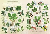 Let's Look for Trees: A Spot  Learn, Stick  Play Book 1908489243 Book Cover