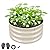 ZXZYHFTY Round Galvanized Raised Garden Bed kit,White Outdoor Garden Raised Planter Box, Round Large Metal Raised Garden Beds for Vegetable 2 * 2 * 1ft 1Pack