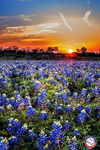 Shop Wimberley Puzzle Company Puzzles On Dailymail