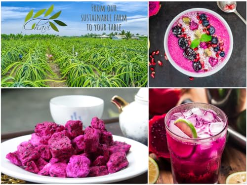 Chavi Freeze-Dried Diced Dragon Fruit Snack thumb #4
