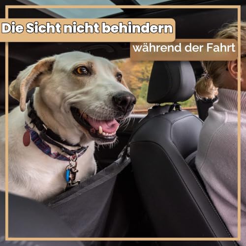 Retoo Hundedecke Auto Rückbank, 130 x 135 cm, mit Gurtöffnungen, waschbar