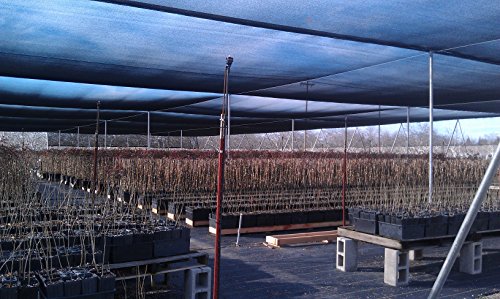 Be Cool Solutions 30% Black Outdoor Sun Shade Canopy: Uv Protection Shade Cloth| Lightweight, Easy Setup Mesh Canopy Cover With Grommets| Sturdy, Durable Shade Fabric For Garden, Patio & Porch 6'X12' #TOP4