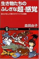 ???????????·?? ???????????????? (?????·???? 27) 479734248X Book Cover