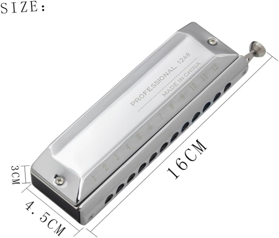 Professional 12-hole 48-note Half-step Harmonica for Beginners and Music Lovers, Silver Tone Wind Instrument for Folk and World Music