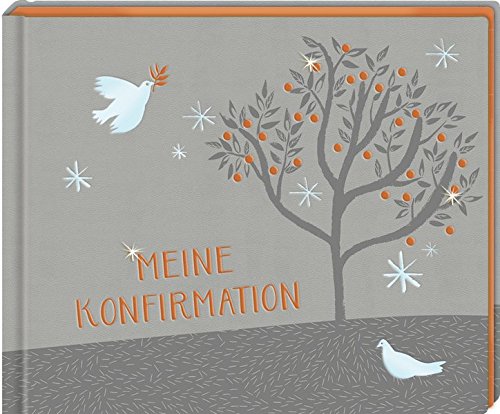Télécharger Eintragalbum - Meine Konfirmation PDF Ebook En Ligne