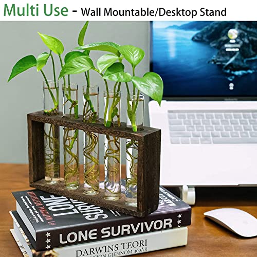 Kingbuy Wall Hanging Glass Planter Propagation Station Test Tube Vase Flower Pots In Vintage Wood Stand Rack With 5 Tabletop Terrarium Windowsill Accessory, Wedding, Kitchen (5 Test Tube) #TOP6