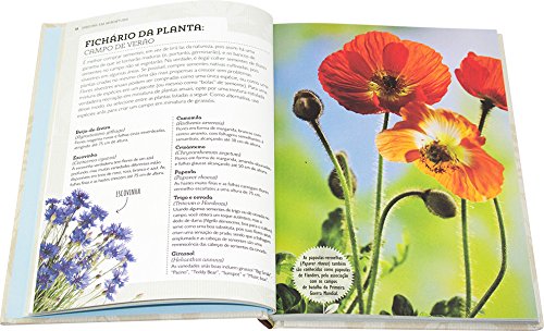 Jardins em miniatura