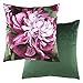 Evans Lichfield Hiver Floraux Coussin Pivoine Couverture, Fuchsia, 43 x 43cm
