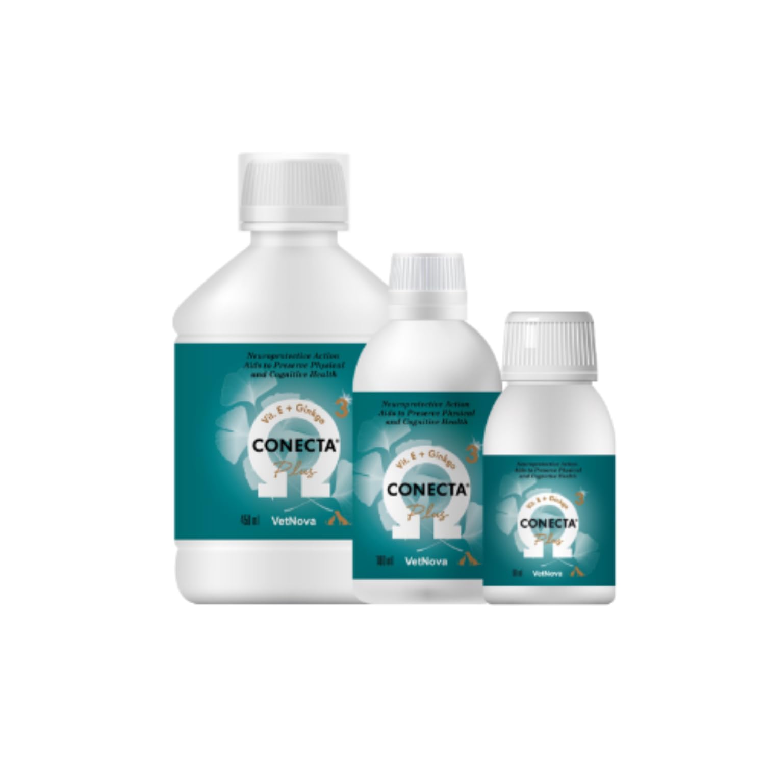 VetNova - Conecta Plus, Solución Oral con Omega-3 (DHA EPA), Vitaminas B, A, D3 y E con Ginkgo Biloba para Perros y Gatos, Ayuda a Preservar la Funcionalidad Cognitiva, Movilidad y Bienestar - 450 ml