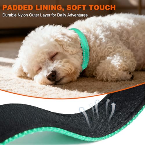 Taglory Hundehalsband, Weich Gepolstertes Neopren Nylon Hunde Halsband für Welpen, Verstellbare und Reflektierend für das Training, Türkis