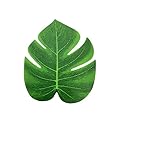DECORACIÓN PARA TODO EL AÑO: Elaborada cuidadosamente para imitar la apariencia de una palmera real, se ve lo más parecida posible a la real, adecuada para colocar en cualquier lugar. Esta palmera te hará sentir la presencia de la naturaleza, ecológica.