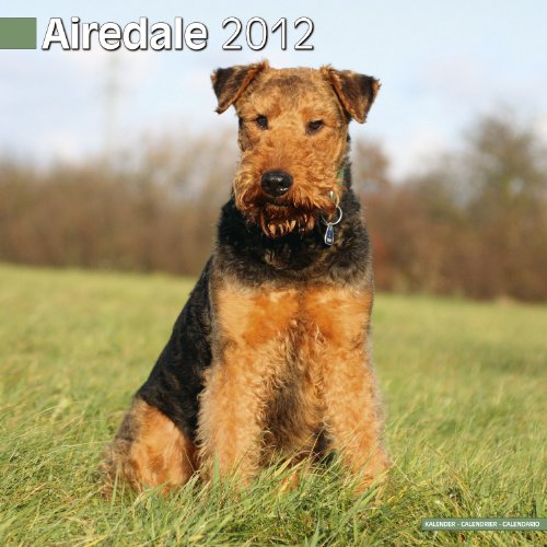 Calandero 2012 Airedale para decorar tu salón con elegancia canina