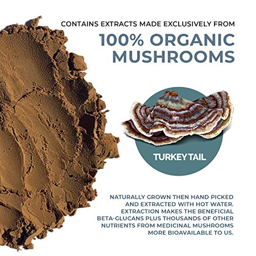 Real Mushrooms Turkey Tail (45G) And 5 Defenders (45G) Mushroom Extract Powder Bundle - Mushroom Supplement For Immune Strength - Vegan, Non-Gmo Immunity Supplement #TOP2