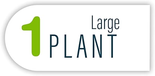 Miniatura 5 de GloFish Planta fluorescente grande para decoración de acuarios, naranja