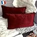 Douceur De Plumes Juego de 2 Fundas de cojín Burdeos 30x50 Terciopelo Decorativo Liso, Suave y Moderna Funda de Almohada Cuadrada, decoración escandinava Sala, sofá, Dormitorio (2 Burdeos)