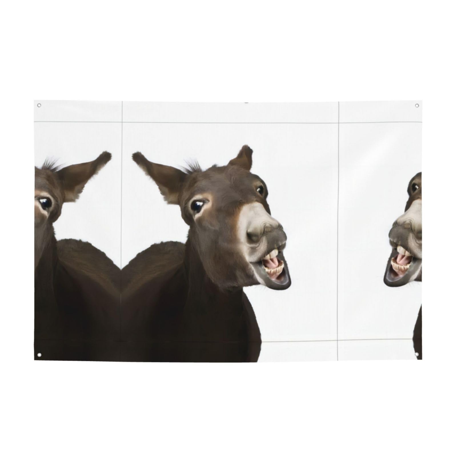 Bannière âne pour décoration de fête et ambiance de maison chaleureuse