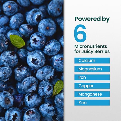 Fertilizante Líquido Blueberry de 32 oz para Plantas de Arándanos miniatura 4