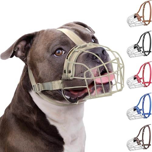 How long can a muzzle stay on a dog