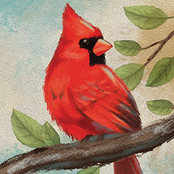 Carson Home Cardinal House Coaster, 4-inch Square, Set of 4