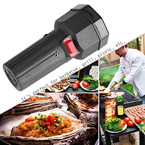 TOPINCN Barbecue Motor, DC 5V BBQ Rotator Motor Kunststoff Grill Motor mit 1m USB Boost Kabel Geräuscharm für Barbecue Grill Picknick Bräter Schwarz