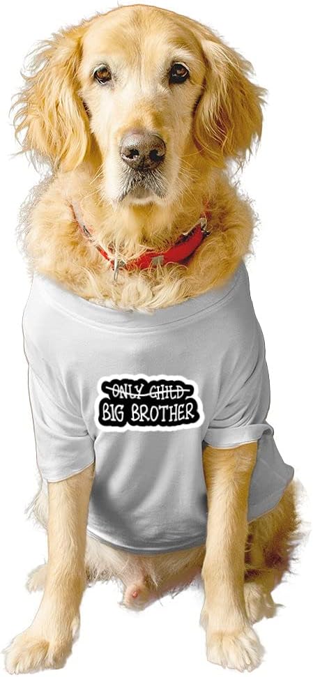 Basic Crew Neck Big Brother Printed Half Sleeves/Apparel/Clothes/T-Shirt Gift for Dogs.Colour-White/X-Large (Full Grown Retrievers, Labs etc.)