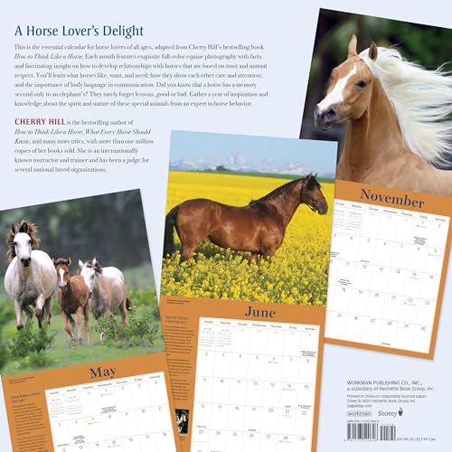 Workman 9781523520626 How To Think Like A Horse Wall Calendar 2024: Understanding Why Horses Do What They Do thumb #1