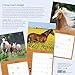 How to Think Like a Horse Wall Calendar 2024: Understanding Why Horses Do What They Do