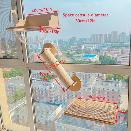 Étagère pour chat avec capsule spatiale et griffoir en bois
