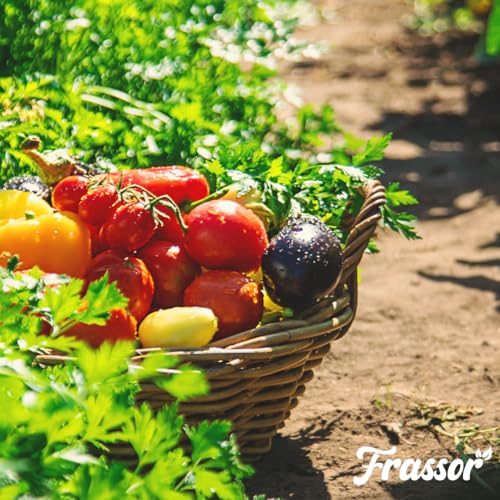 Concentrado Resiliencia Frassor de 250 ml para recuperar plantas marchitas por estrés 7
