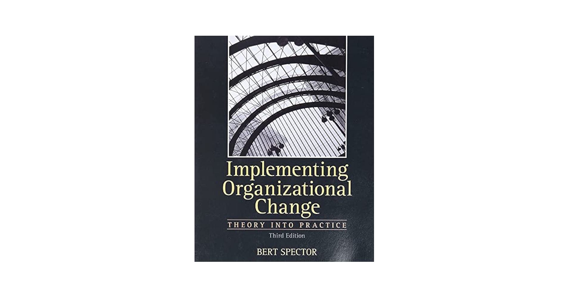 Amazon.com: Implementing Organizational Change: Theory Into
