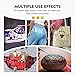 Magicfly Permanent Soft Fabric Paint Set for Clothes 14 Colors 60ML Textile T-Shirt Paints, No Heating Needed & Washable Fabric Paints for Crafts, Canvas, T-Shirts, Jeans, Bags, with 3 Brushes