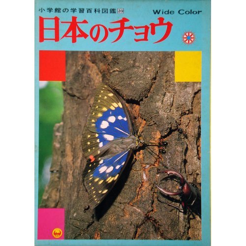 Butterfly of Japan (Illustrated Encyclopedia of learning