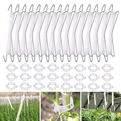 Rankhilfe Gurken für Kübel, Hochbeet, Gewächshaus und Balkon [+Tipps