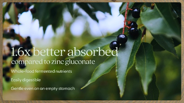 健康・医学 NUTRITIONAL HEALING Amazon.com: Consult Health Rewind 1,000 mg MSM, Cellular