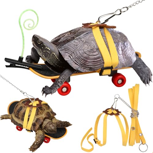 Image of Adjustable Tortoise Leash and Funny Skateboard Set with Curly Grass Decor, Harness and Training Skateboard for Turtle Bearded Dragon Pet Toys(fit for Turtles with a Back Length of 5.1-6.3'')