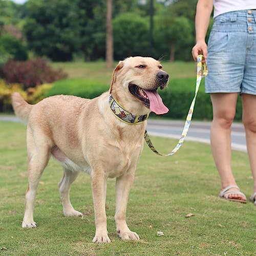 Hundehalsband Mit Leine, Nylon Reflektierend Atmungsaktiv Einstellbar, Welpenhalsband, Hundeleine Für Kleine Hunde Leicht Verstellbar Mit Gepolstert-S