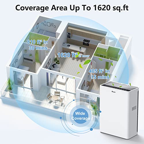 https://m.media-amazon.com/images/I/51s9AcuiMPL._SL500_.jpg