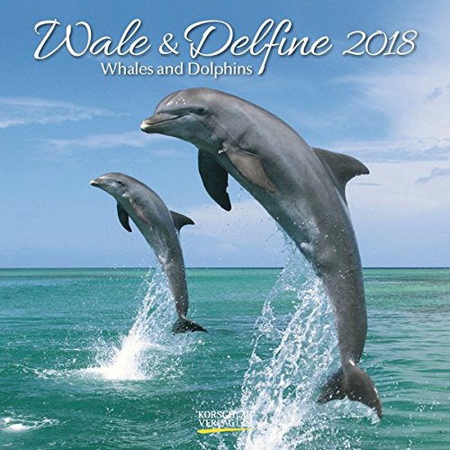 Wale und Delfine 2018: Broschürenkalender mit Ferienterminen. Tierkalender von Fischen. 30 x 30 cm Wale und Delfine 2018: Broschürenkalender mit Ferienterminen. Tierkalender von Fischen. 30 x 30 cm