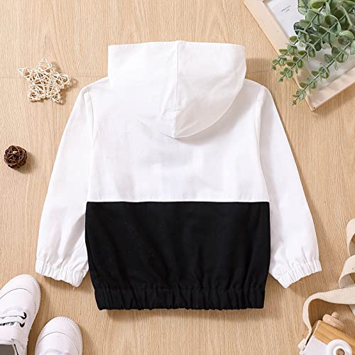 Toddler Boys Windbreaker Long Sleeve Windproof Coats Cartoon Print Hooded Jacket3