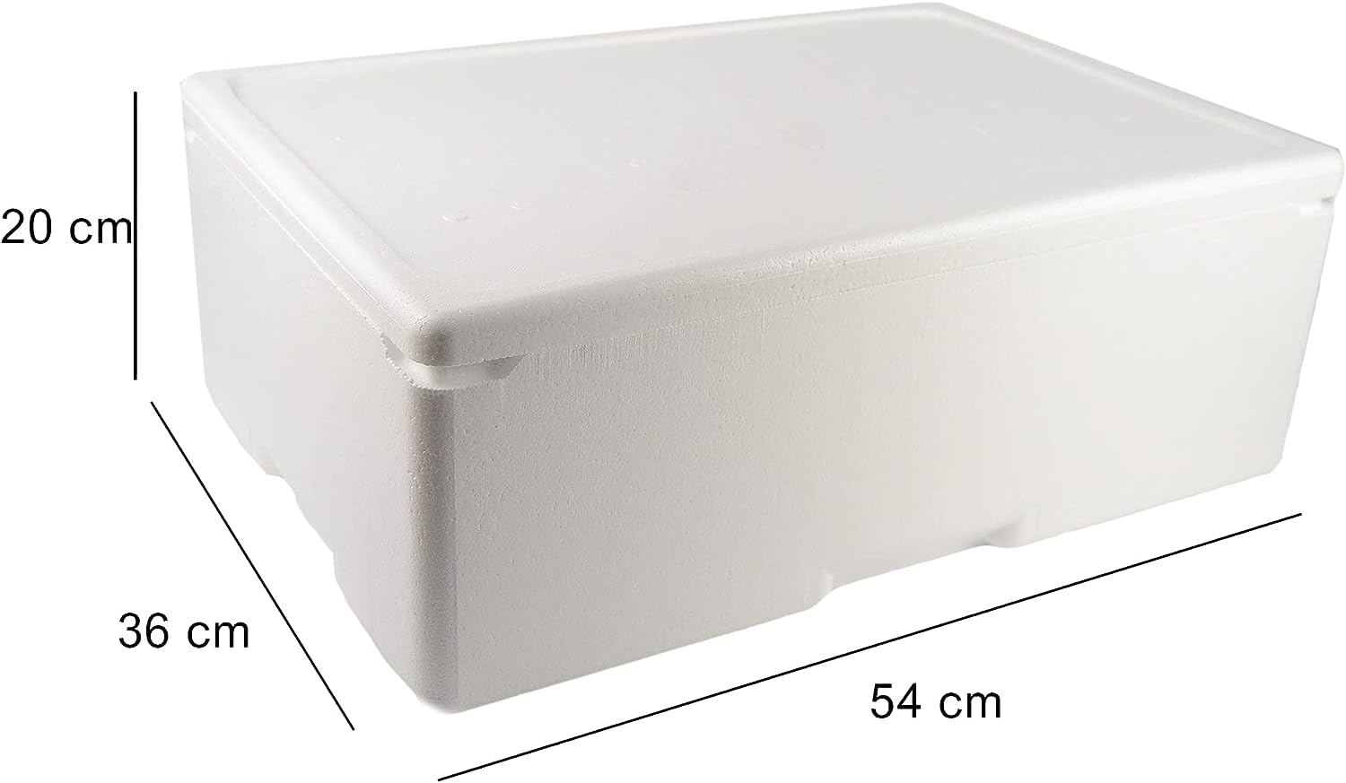 PZ 4 SCATOLA TERMICA GRANDE BIANCA RETTANGOLARE 54 X 36 ALTA20 cm + COPERCHIO CASSA MAXI LARGE