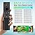 BN59-01357A BN59-01357F Solar TV Remote Replacement for Samsung Smart TV Remote Control with Voice and Rechargeable Solar,The Frame Neo QLED 4K/8K UHD Smart TVs