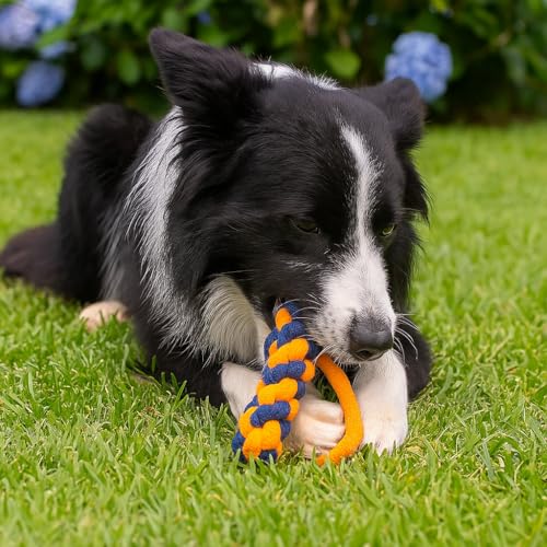 Image of Dog Rope Toys, Puppy Chew Toys for Small Medium Large Breeds, Nature Teething Toy for Dental Health (7 Toys Combo Set)
