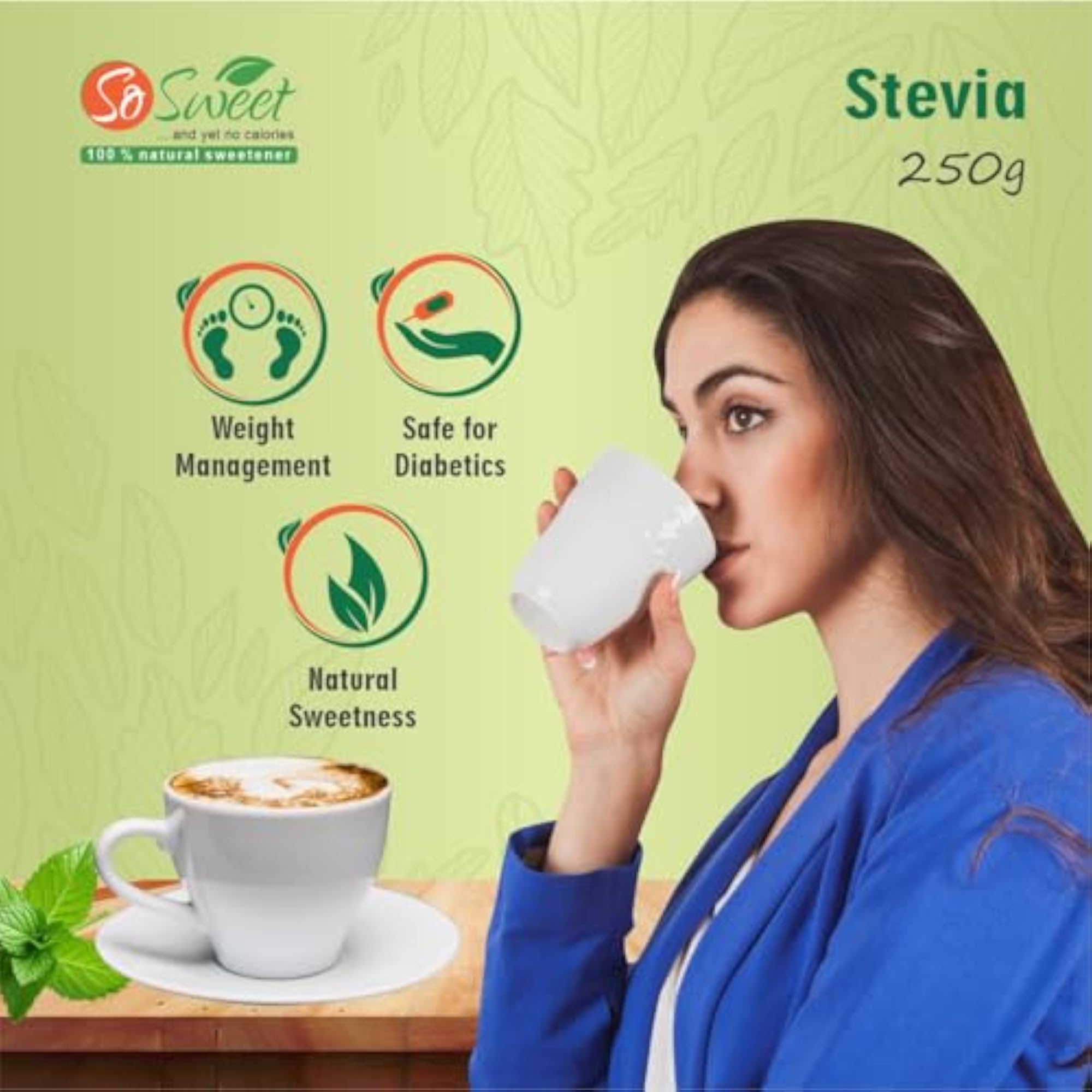 Stevia Powder, 250gm, Zero Calorie Sweetener
